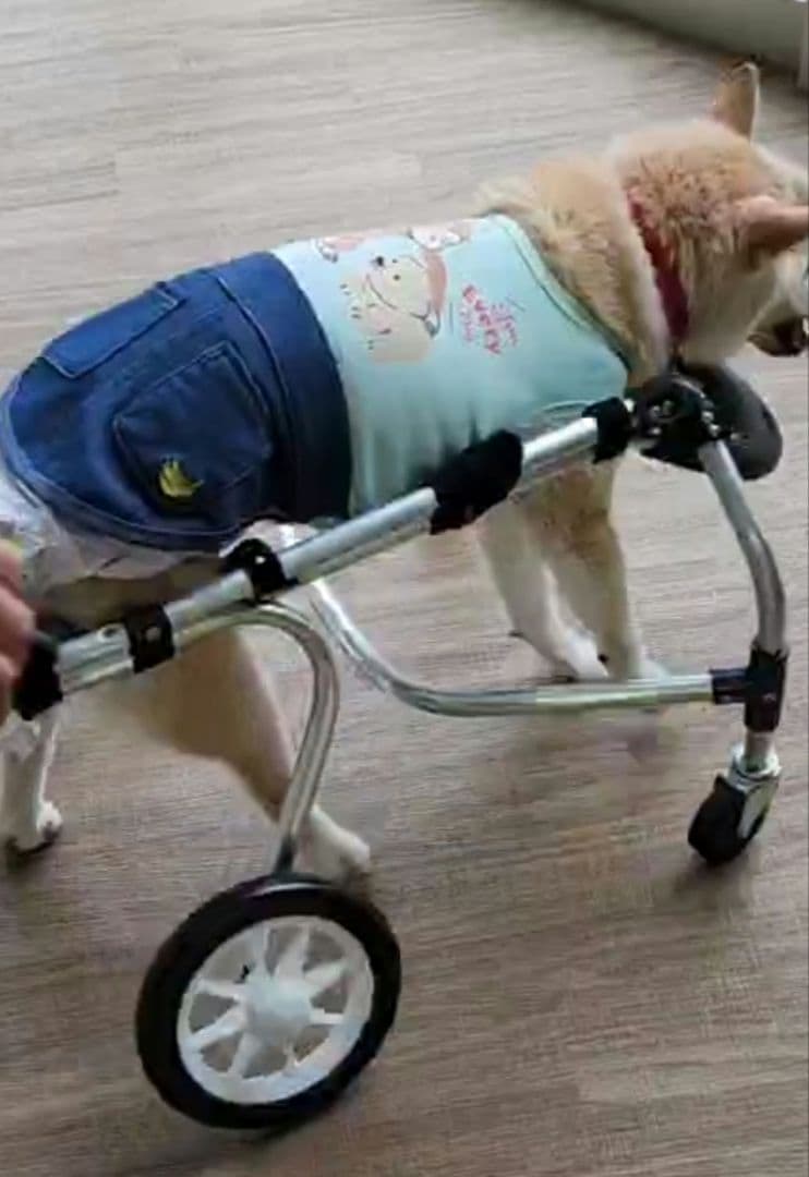 犬用車椅子(ポチの車イス)４輪 介護