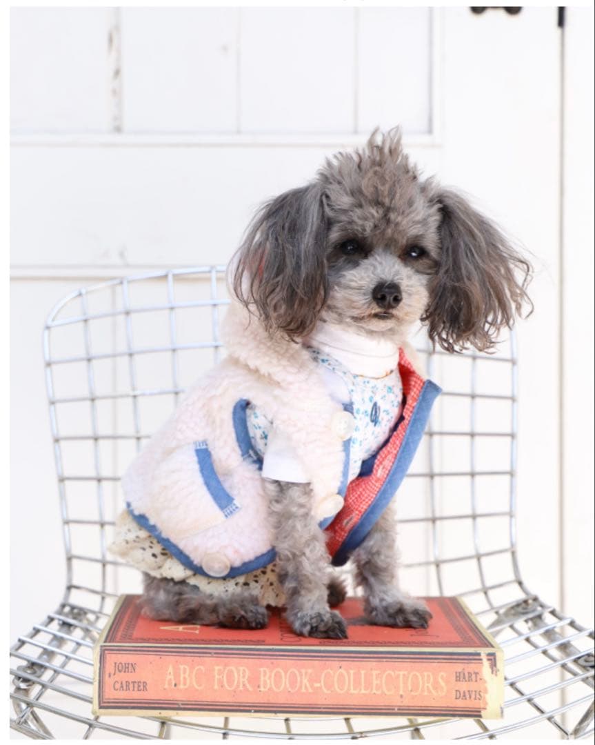 アトリエGG フィールド ボア ベスト 美品！ 19ハーフ