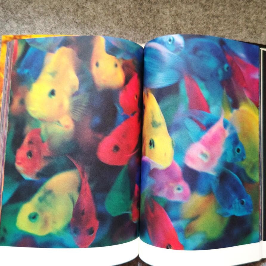 ◆古本◆蜷川実花サイン入り◆ノワール◆女性写真家、映画監督◆蜷川幸雄の娘