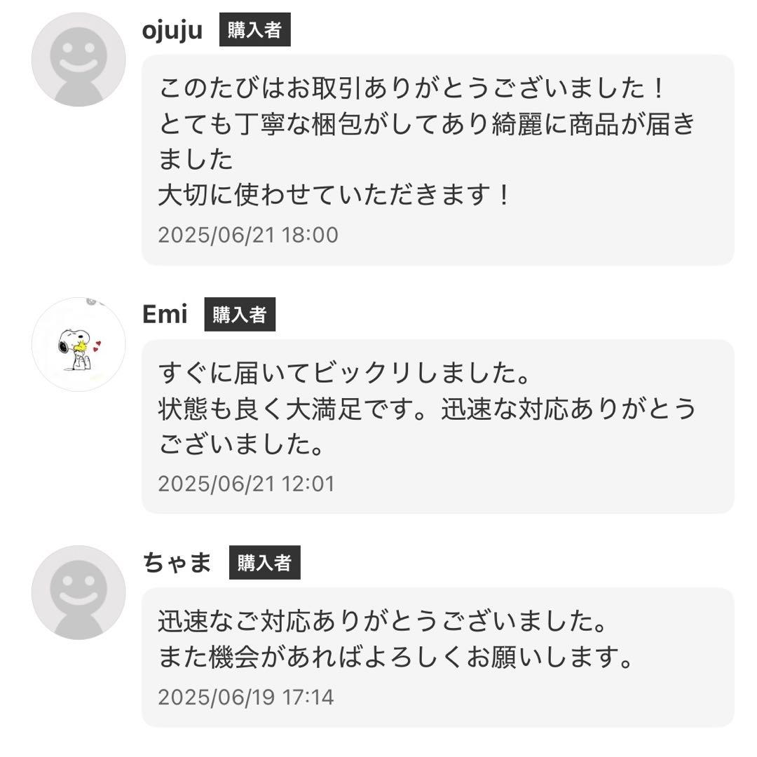 配信機器・PA機器・レコーディング機器 BBE 462 SONIC MAXIMIZER