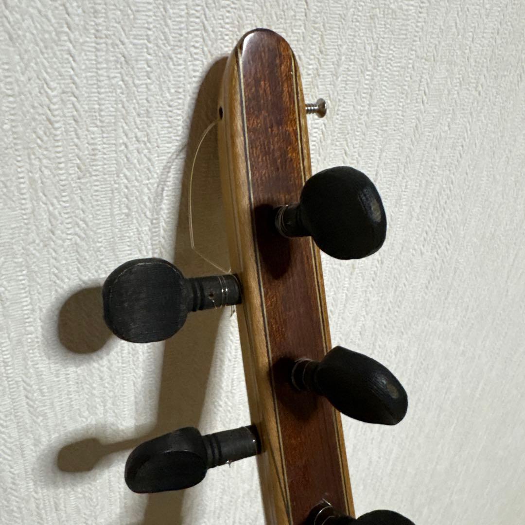 サズ　バーラマ エレキサズ　トルコ　民族楽器　弦楽器　リュート ギター