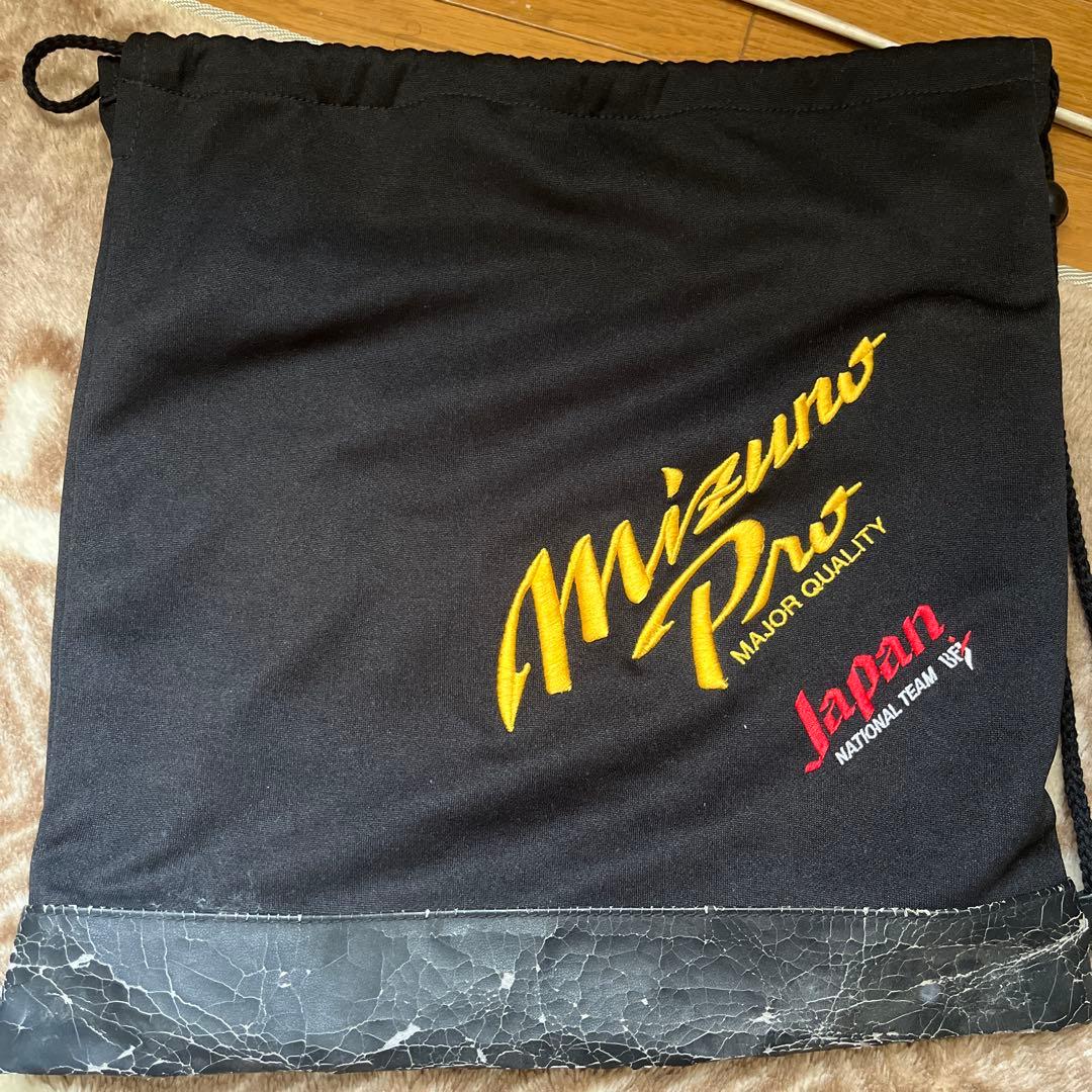 Mizuno Pro 硬式用グローブ