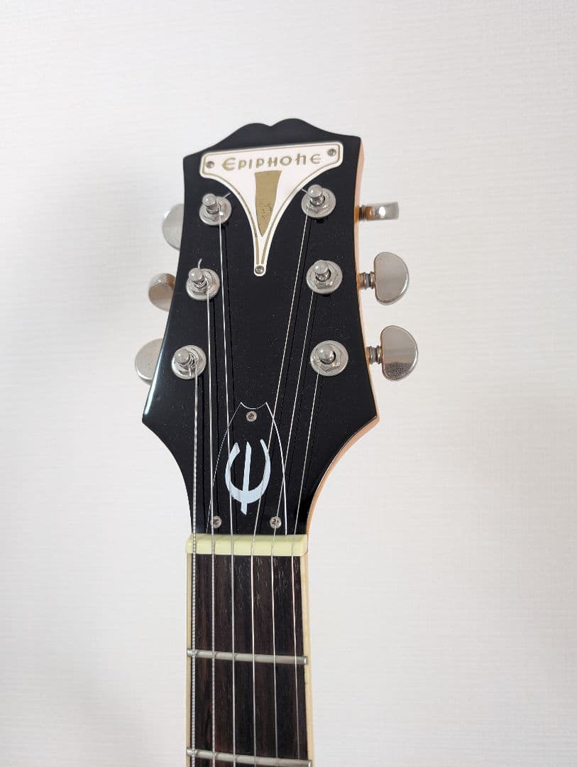 Epiphone Wildkat エピフォン　ワイルドキャット　ビグスビ―付