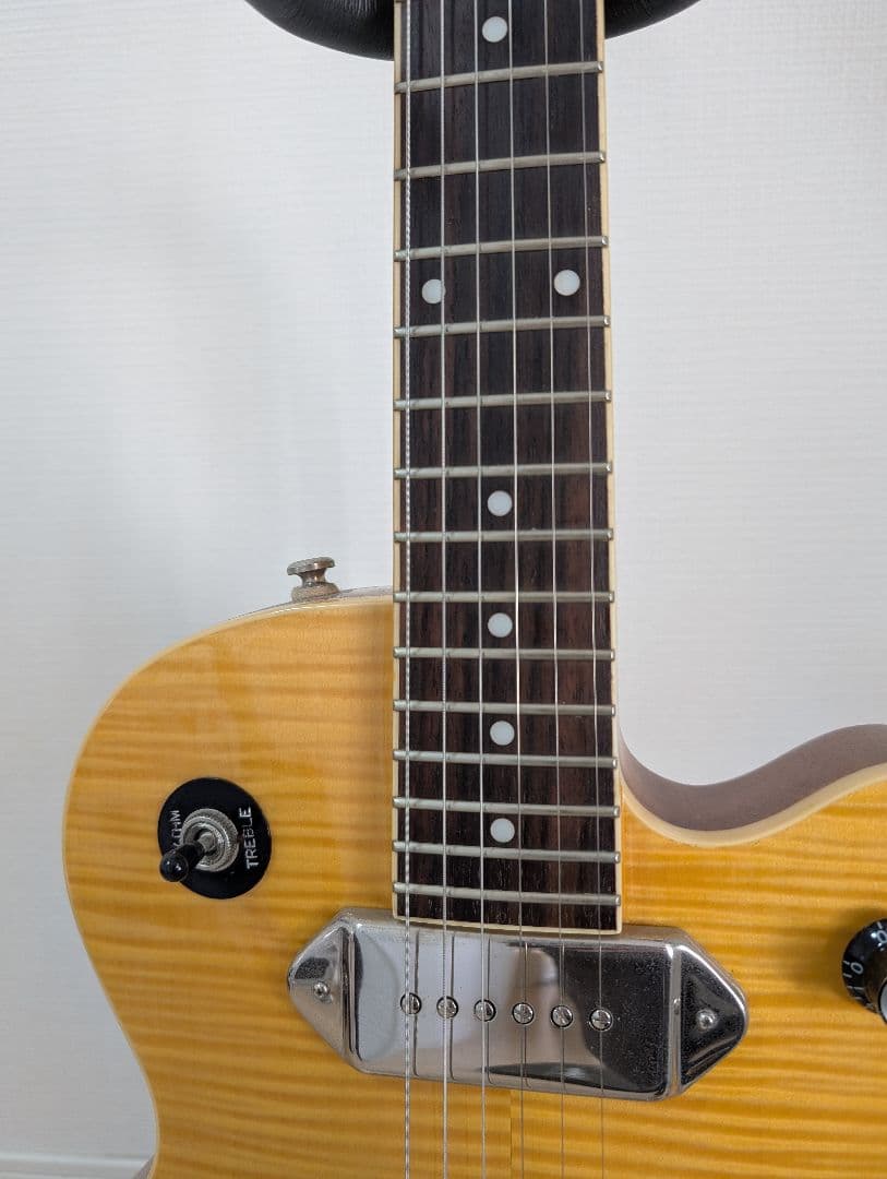 Epiphone Wildkat エピフォン　ワイルドキャット　ビグスビ―付