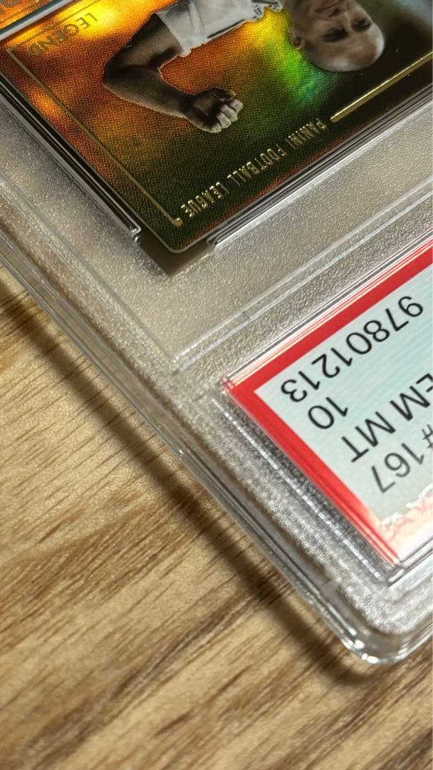 PSA10 カンナバーロ CANNAVARO PFL パニーニフットボールリーグ