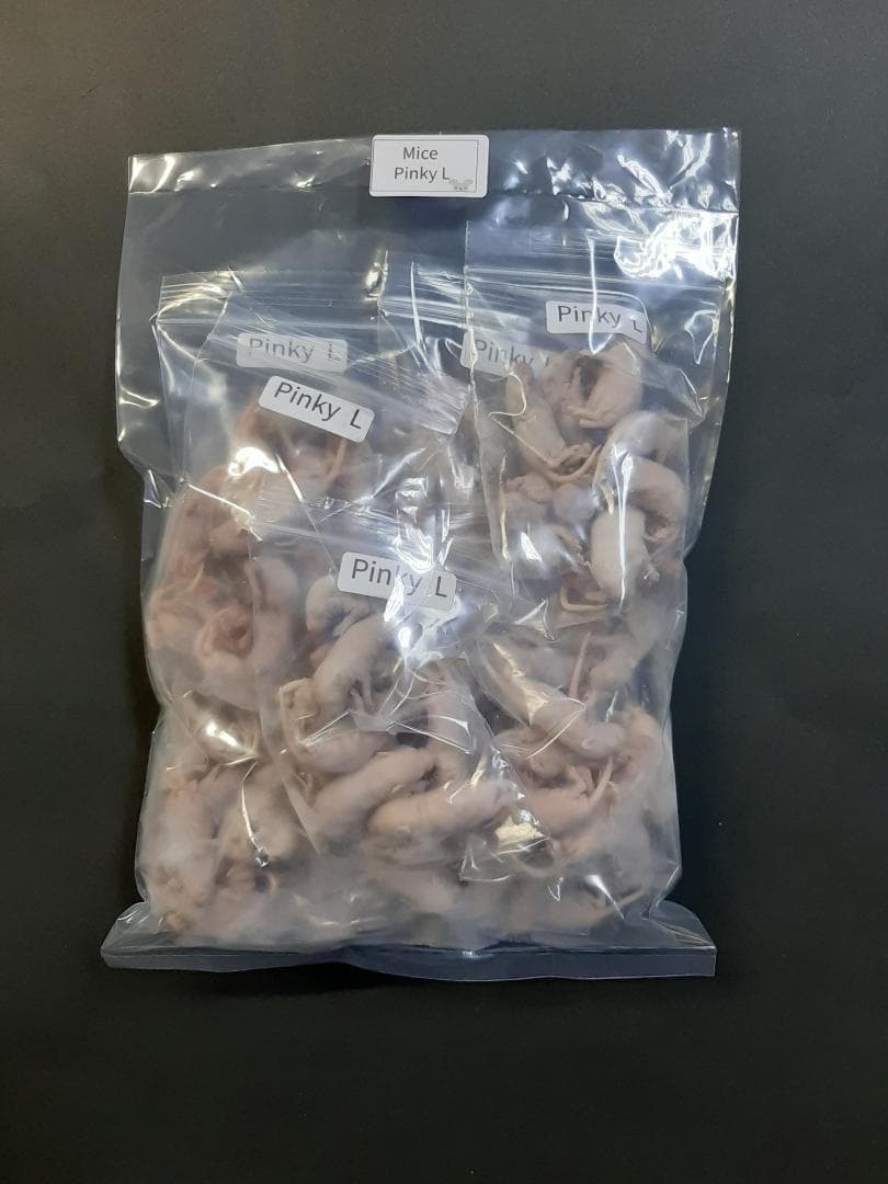 国産冷凍マウス ピンクL 100匹(送料無料一部地域発送不可)