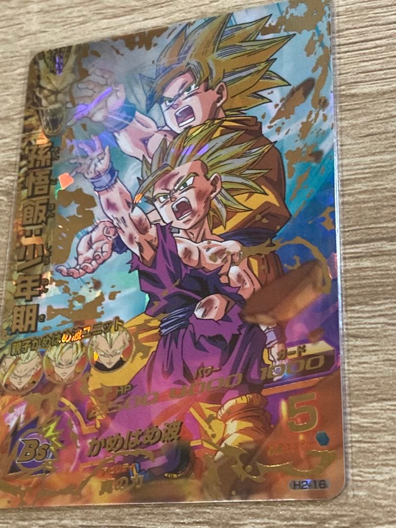 H2-16 孫悟飯少年期