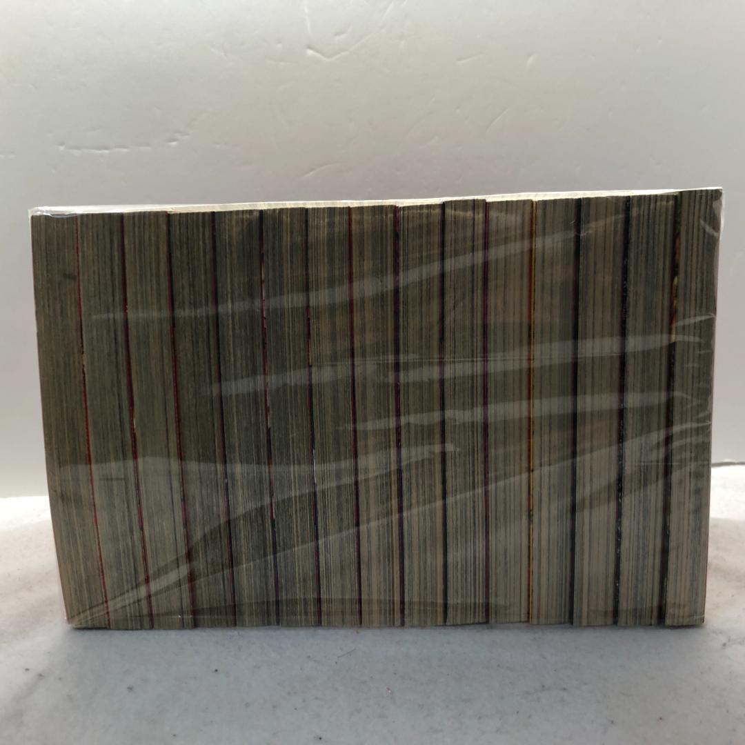 明王伝レイ 全15巻完結セット 菊池としを