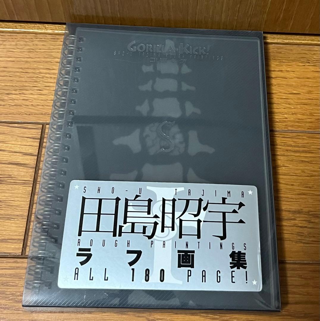 田島昭宇　画集