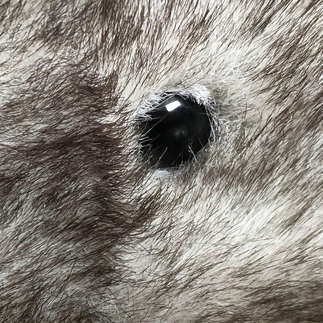 トイザらス　animal alley ぶた　約68cm×34cm×30cm