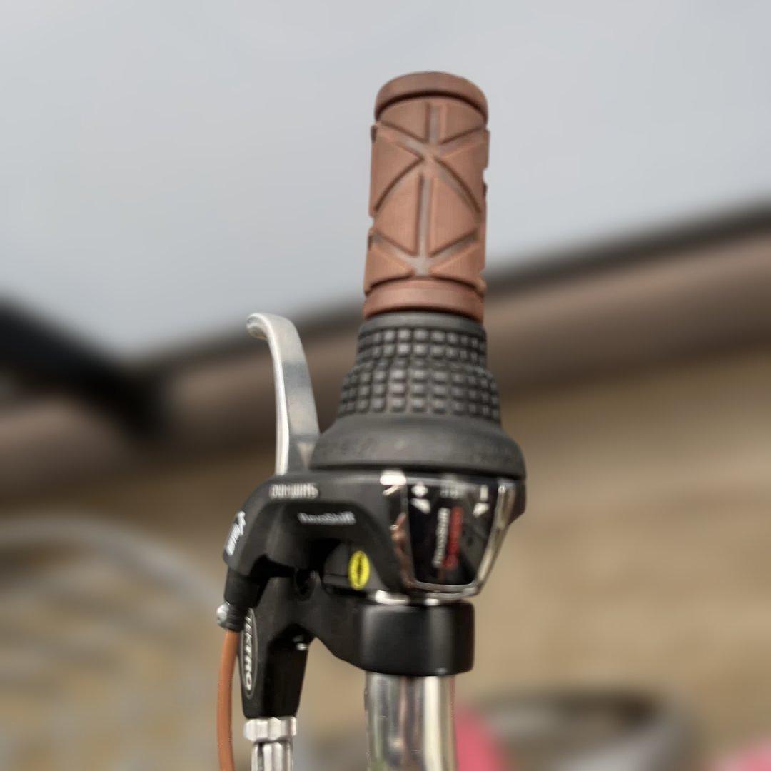 LOUIS GARNEAU 子供用自転車　前カゴ付き　6段階ギア　20インチ