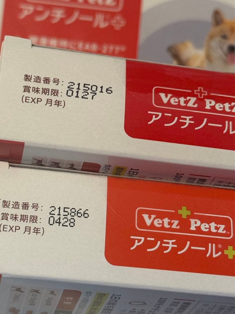 即日発送　アンチノールプラス90粒　新品