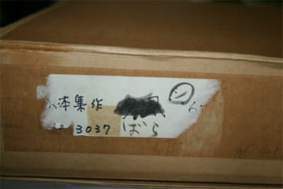 ★山本あつむ作★ばら★圧書き貴重な作品★Ｆ６号★遺族の方からの出品依頼品★