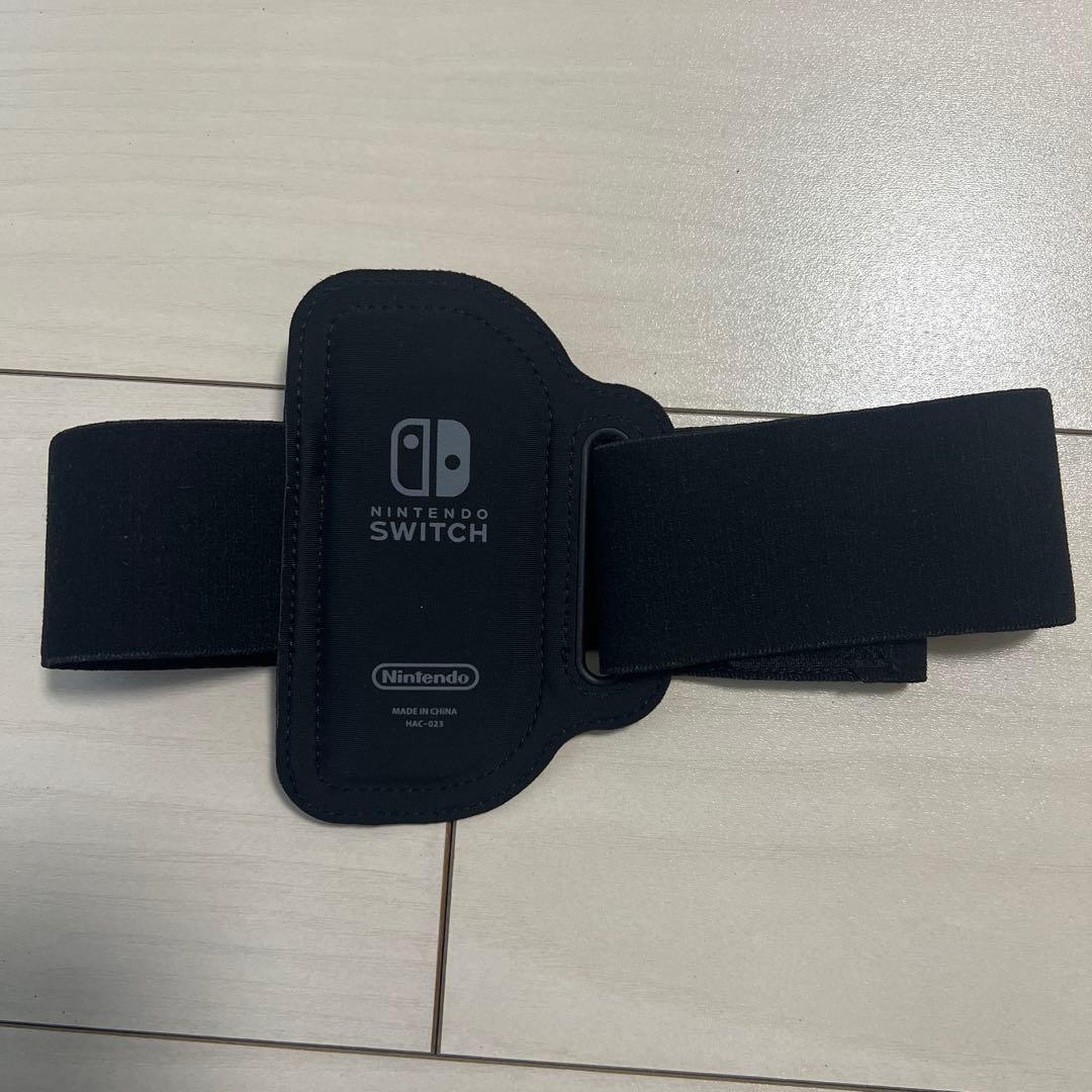 Nintendo Switch Lite グレー 本体 付属品セット