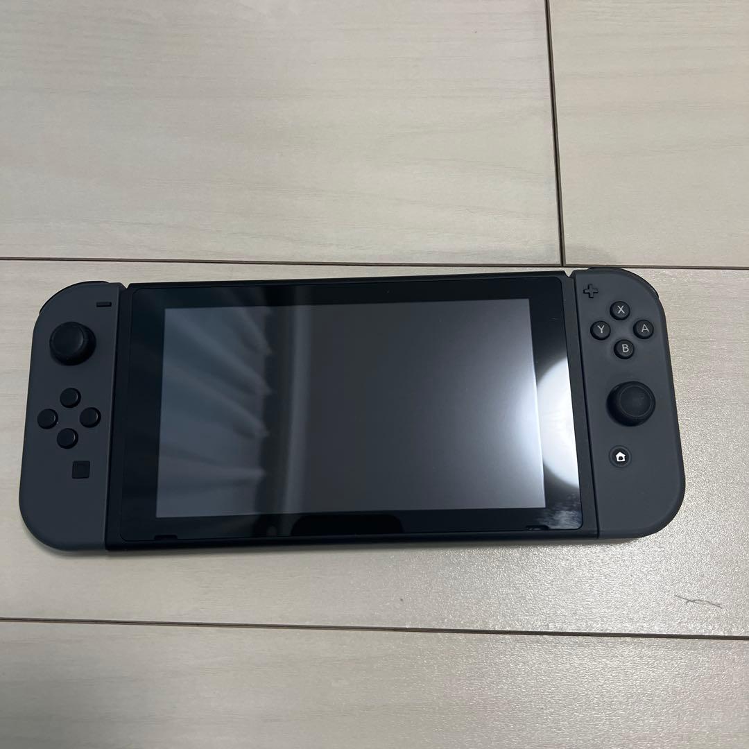 Nintendo Switch Lite グレー 本体 付属品セット