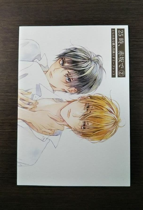 25時、赤坂で2 夏野寛子 小冊子 リーフレット付き