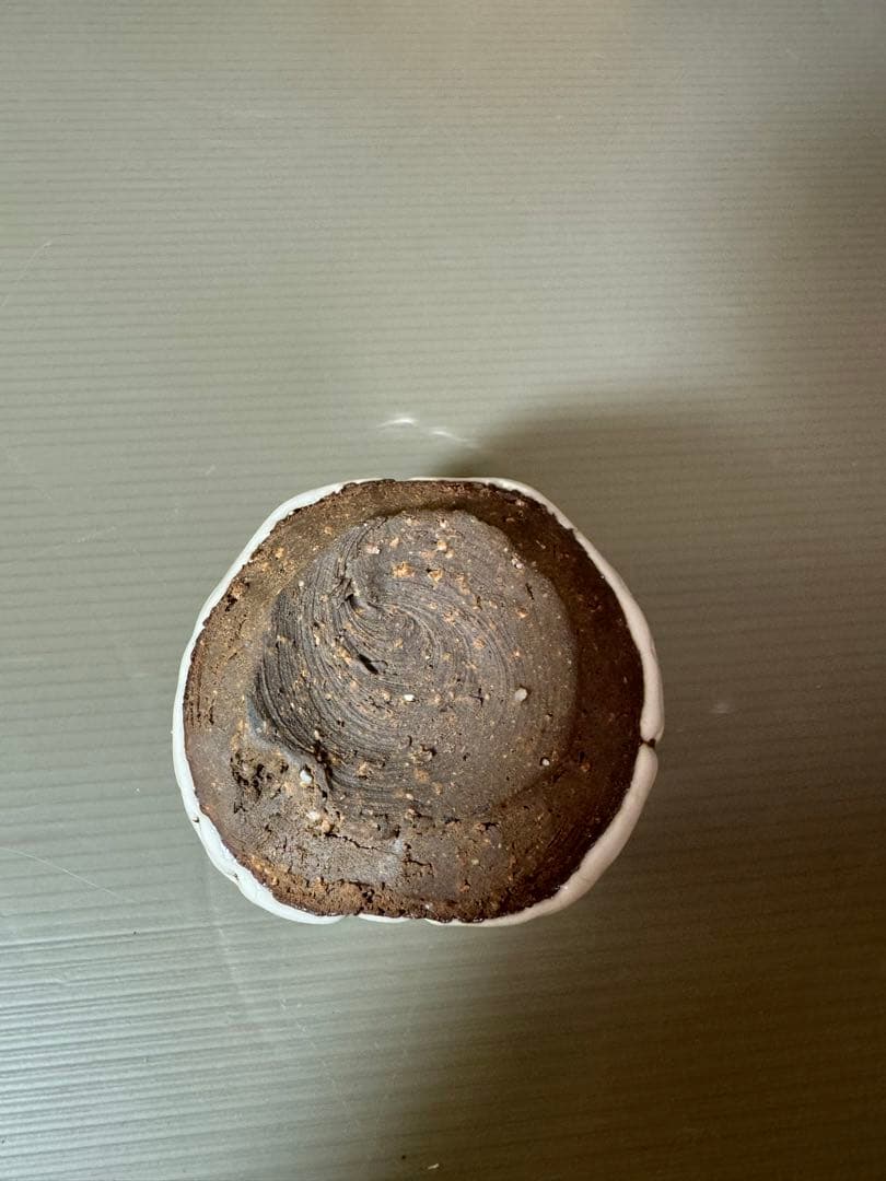 2757 萩焼　豆花入　未使用