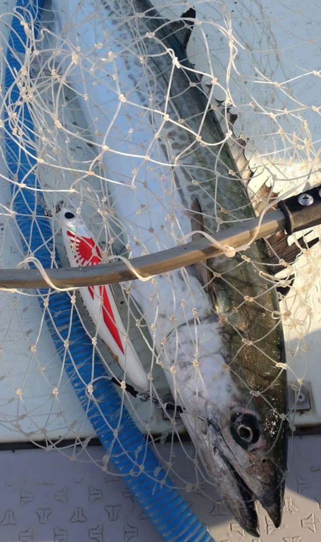 将栄丸　スライドダイバー190F ハンドメイドウッドルアー　ダイビングペンシル