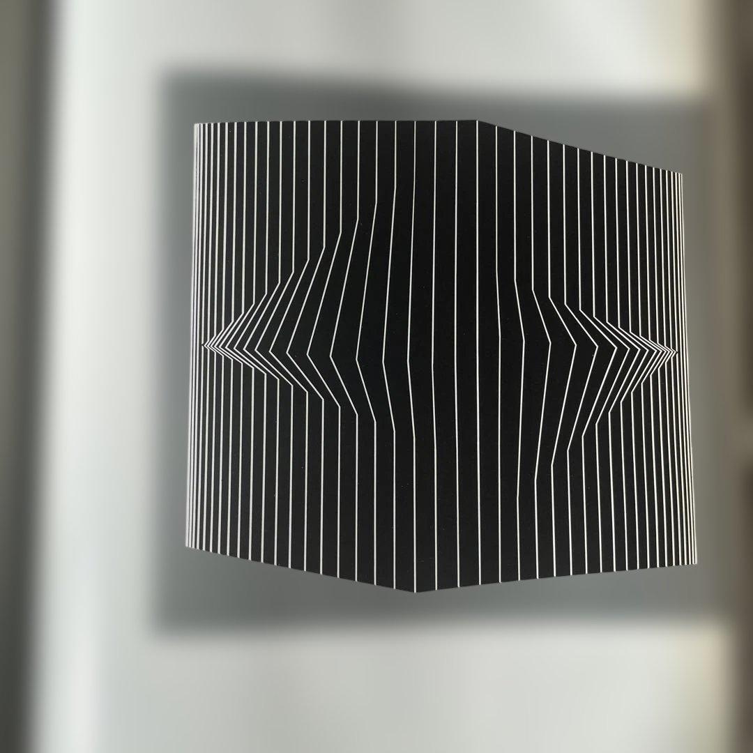 VASARELY ヴァザルリ画集 洋書