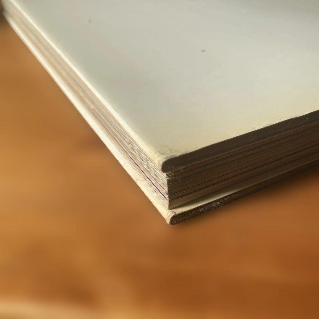 VASARELY ヴァザルリ画集 洋書