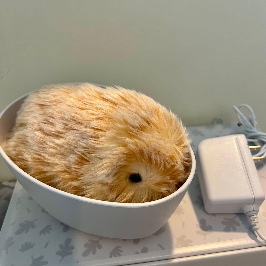 モフリン Moflin ゴールド（使用63日）