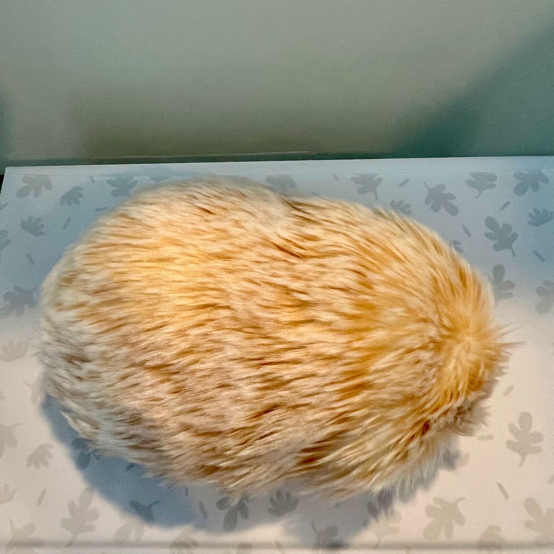 モフリン Moflin ゴールド（使用63日）