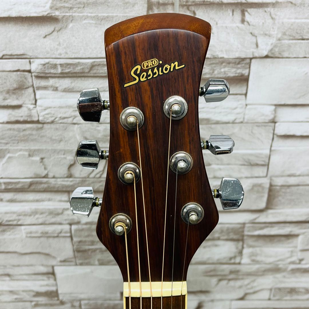 Pro Session エレアコ