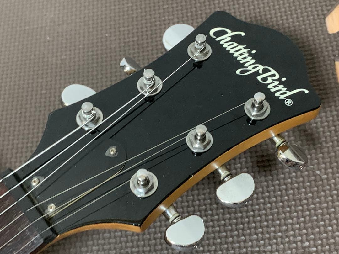 Chatting Bird Mockingbird モッキンバード hide