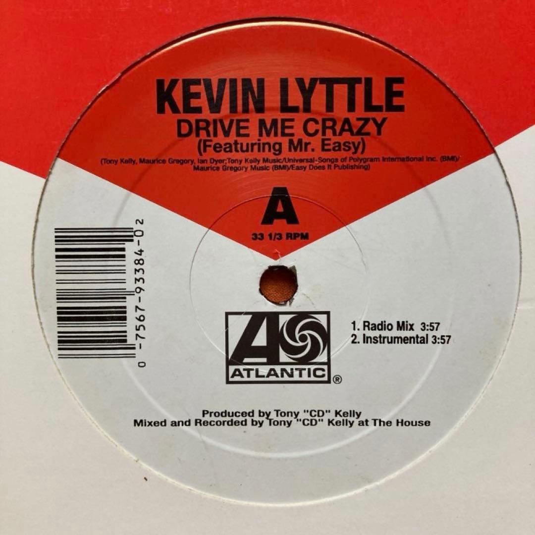 レゲエ　12インチシングル　9枚