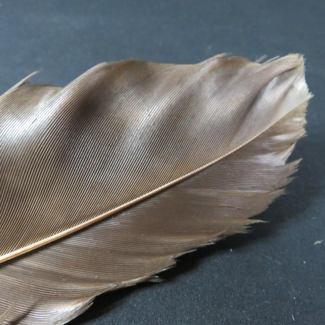 羽箒 2ケ 羽根 茶道具 茶器 茶会 茶の湯