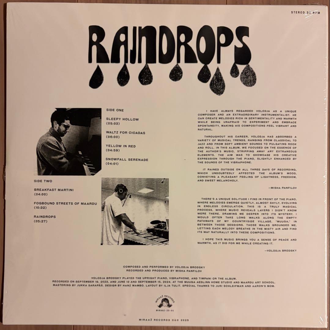 RAINDROPS VOLODJA BRODSKY LP LTD500 新品