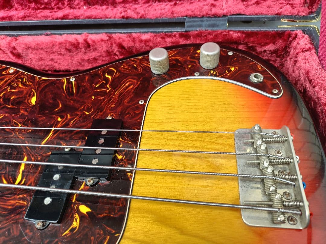 ESP プレシジョンベース　ソフトケース付き