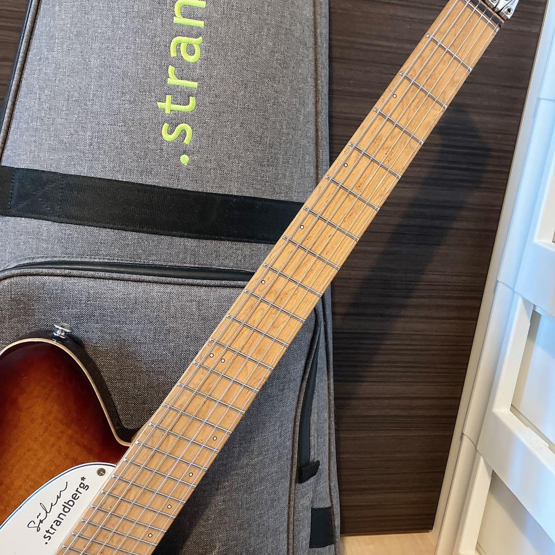 【最終値下げ】strandberg Salen Deluxe