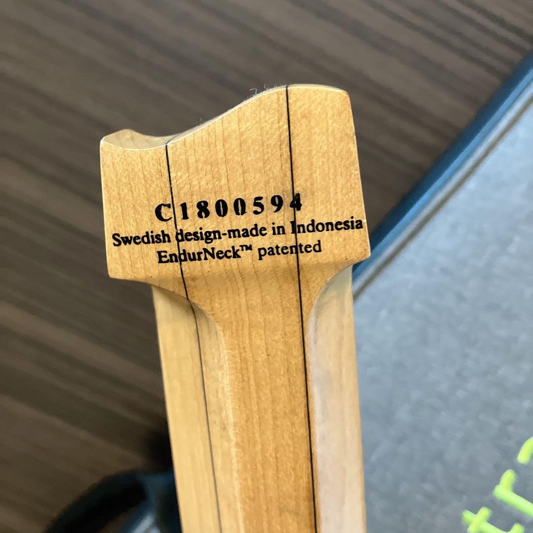 【最終値下げ】strandberg Salen Deluxe