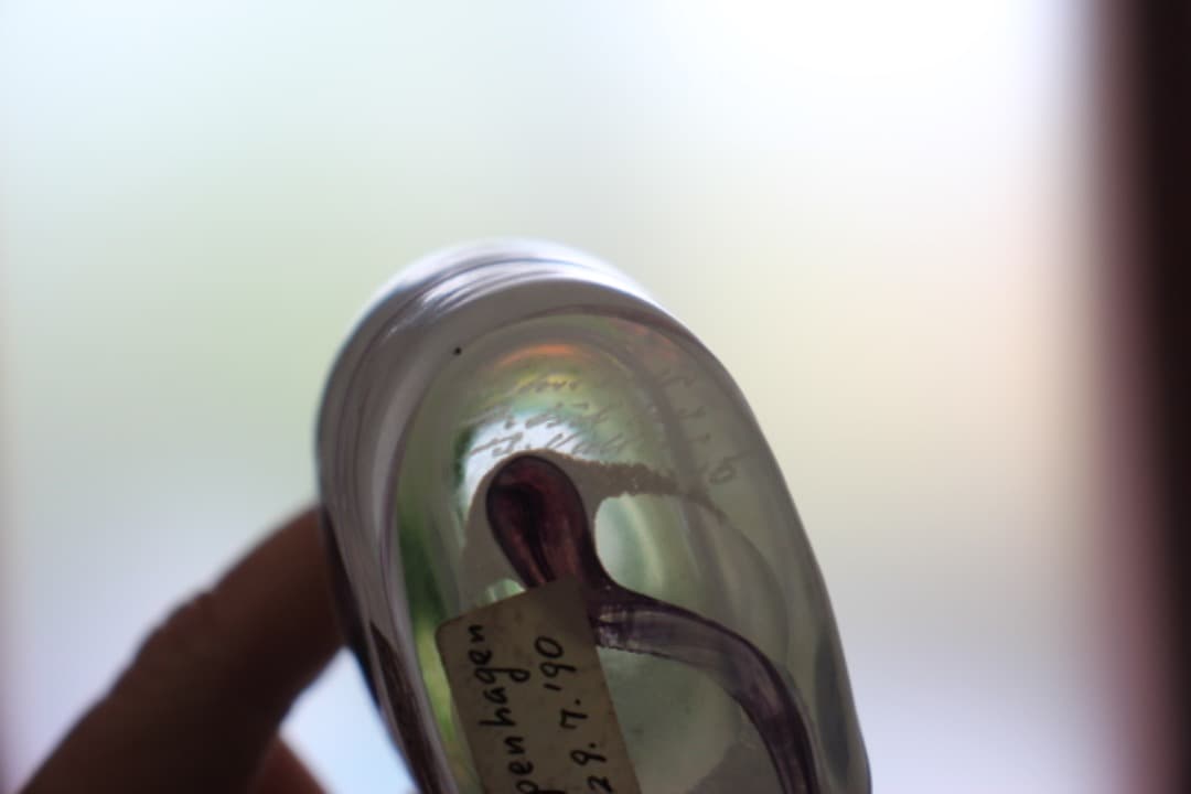 スウェーデン　コスタボダ　アーティストコレクション　ギャラクシー　小瓶　花瓶