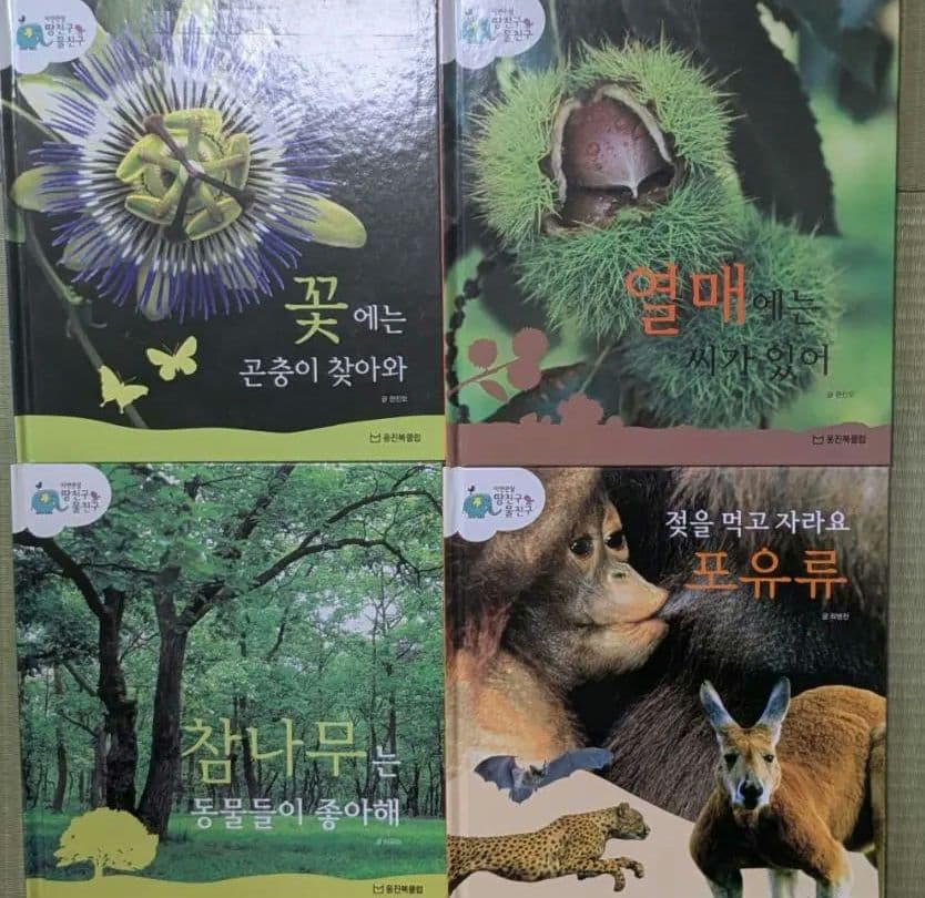 韓国語　幼児向け絵本　自然