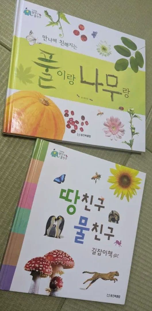 韓国語　幼児向け絵本　自然