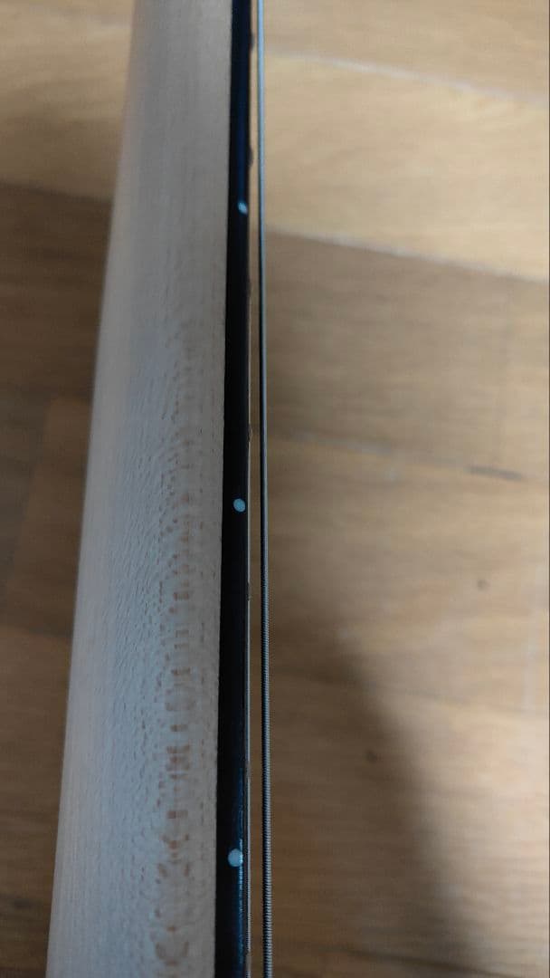 24日出品終了バッカスBacchus Universe ギタ ブルーケース