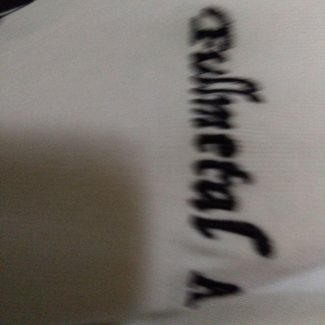 グラニフ　鋼の錬金術師 ロングtシャツ 未使用