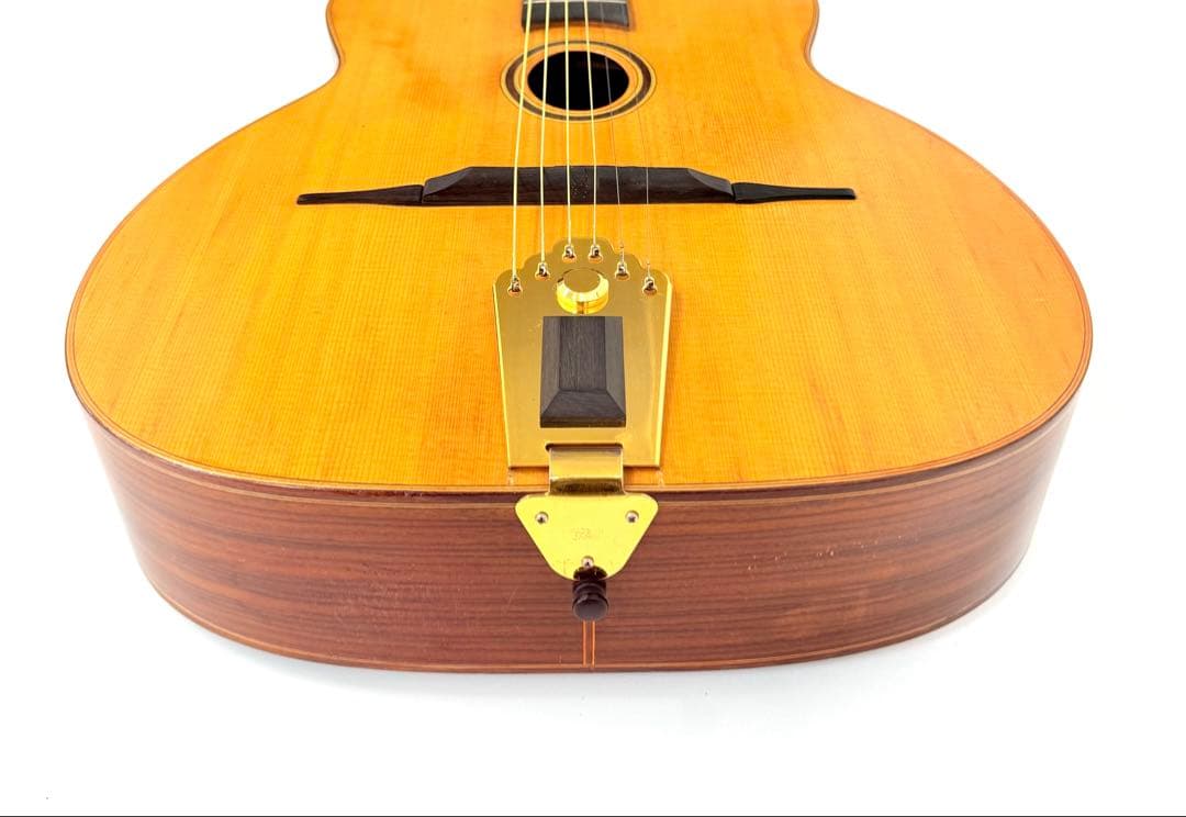 【希少】SAGA JAPAN BM500 Django Jazz Guitar