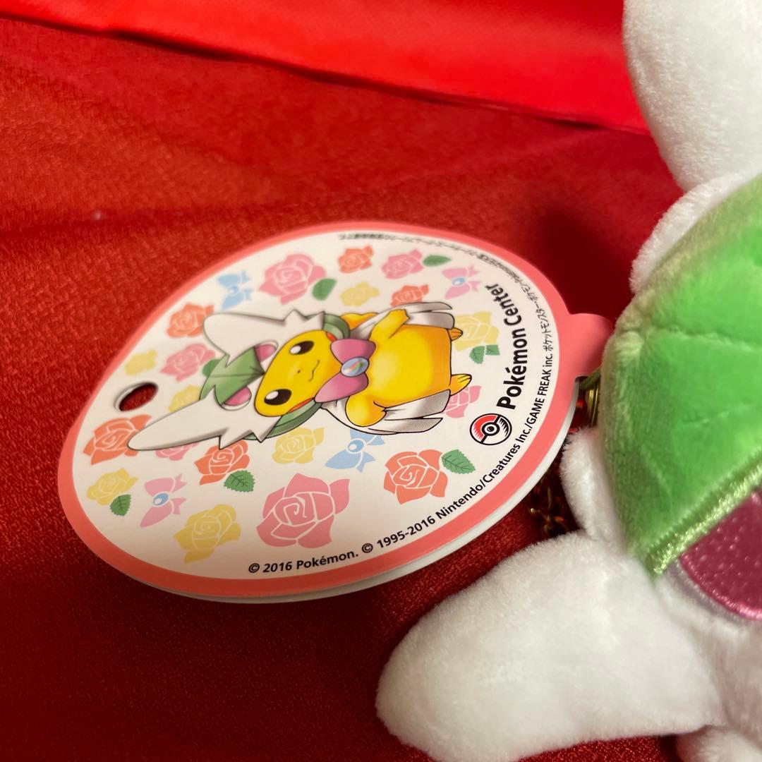 メガサーナイト ポンチョ ピカチュウ マスコット