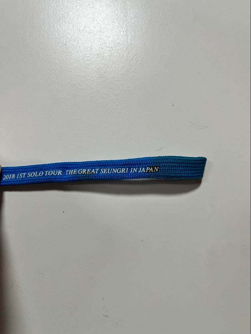 BIGBANG V.I スンリ ペンライト ストロングパンダ　発光確認済