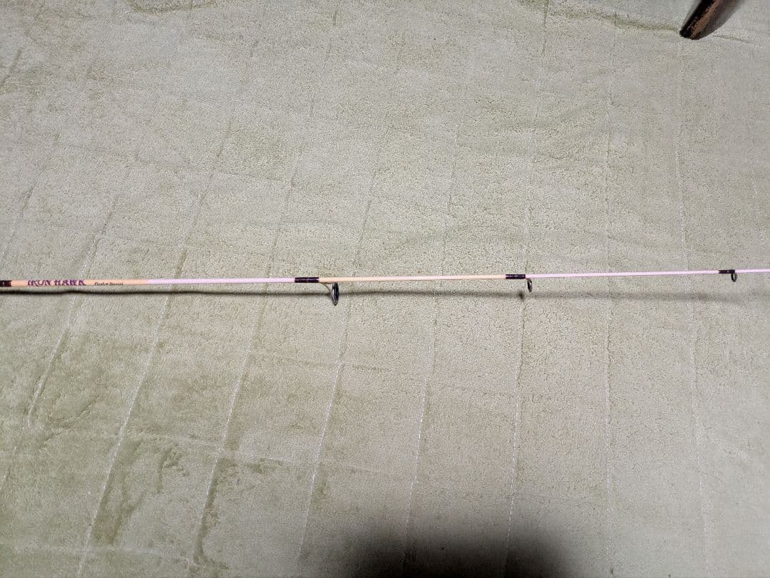 フェンウィック　アイアンホーク　フロータースペシャル　スピニング