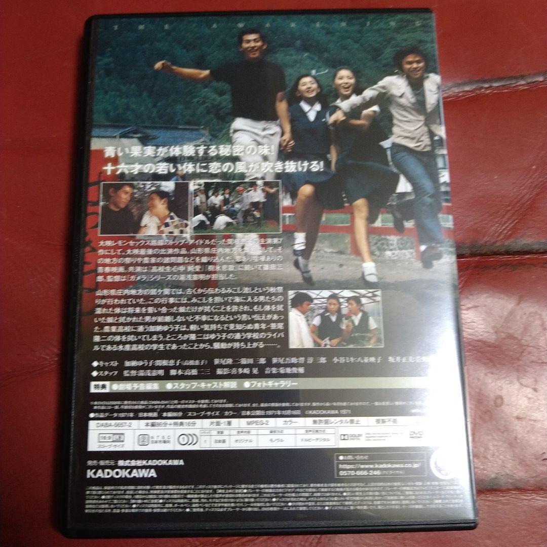 関根恵子 (現 高橋恵子) 大映青春傑作選 DVD-BOX 3枚組