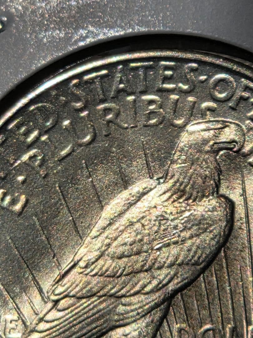 アメリカ合衆国　ピースダラー(1ドル)銀貨　1925