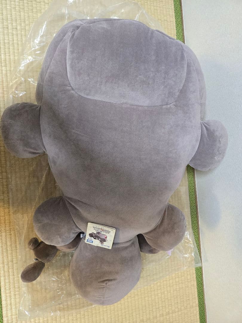 いっしょにあくび…いやされドオーぬいぐるみ ポケモン