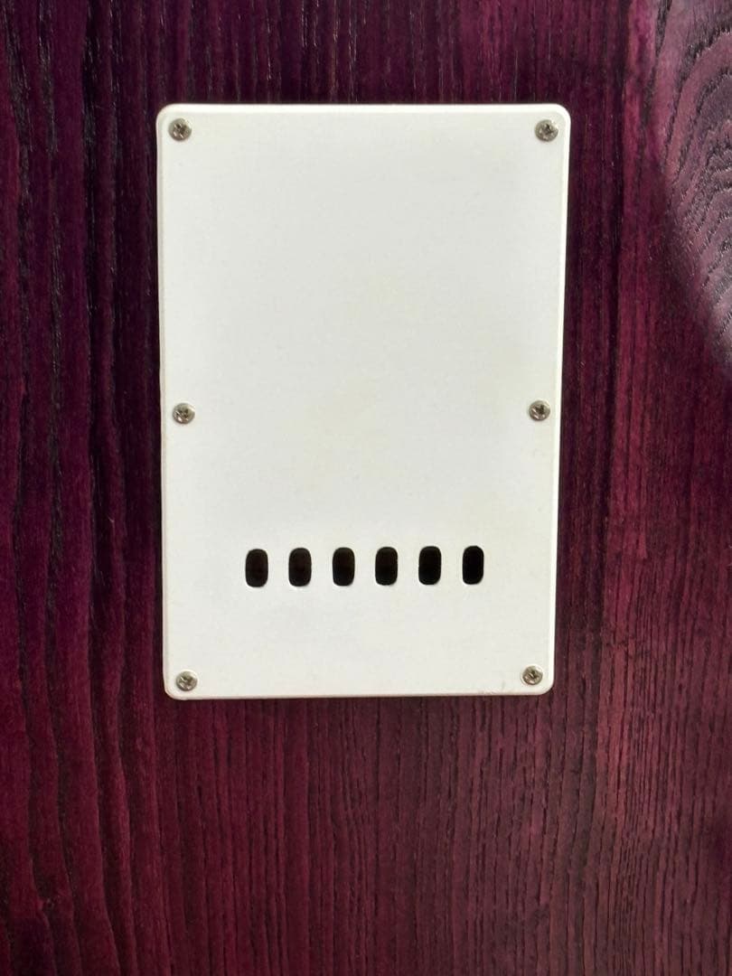 Bacchus バッカス Global Series グローバルシリーズ 紫