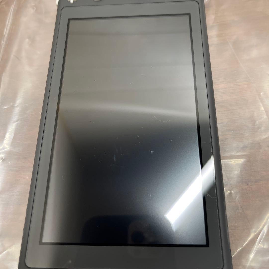 極美品　Nintendo Switch Lite グレー 本体