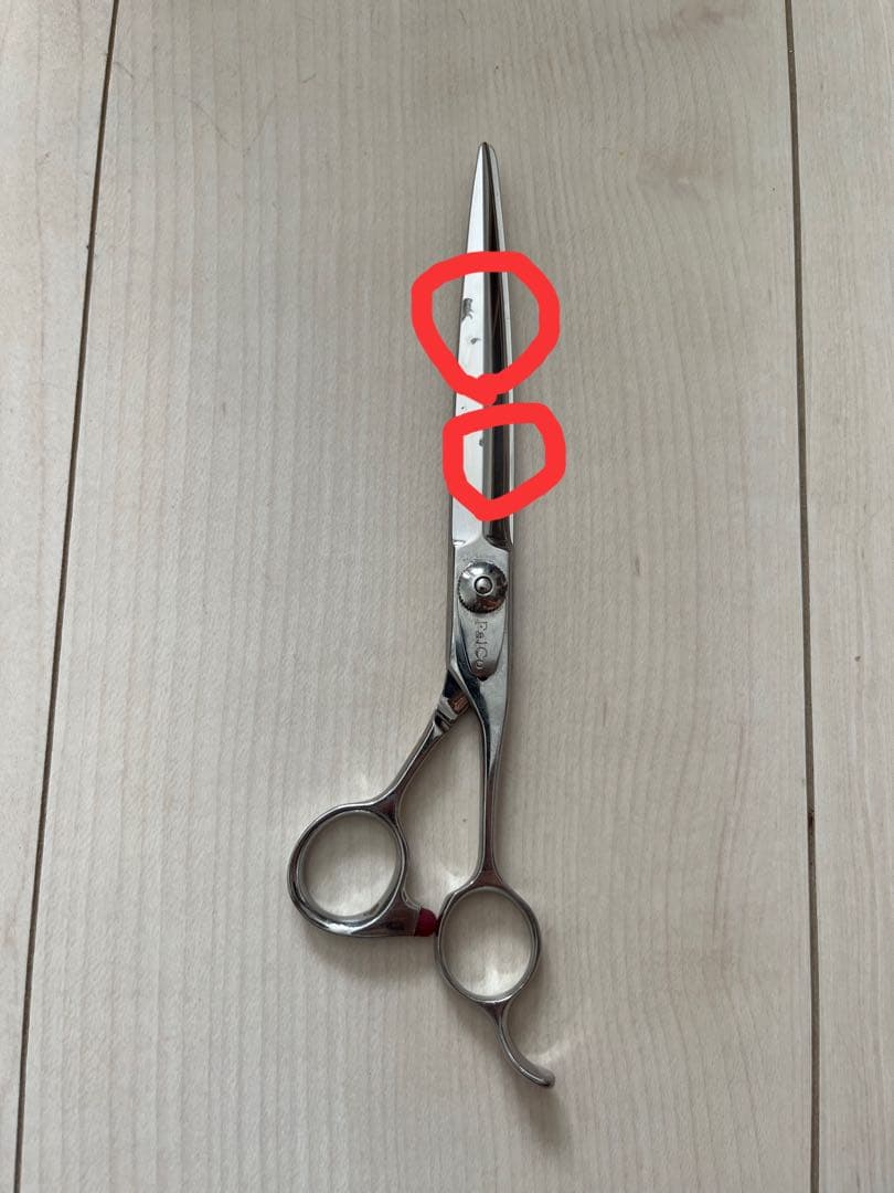 Falco ストレートシザー　7インチ