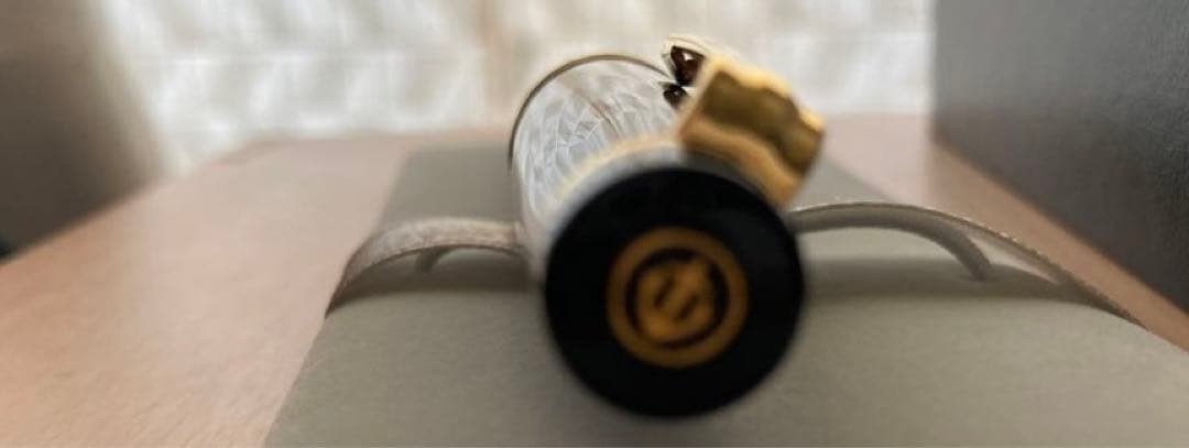 【新品未使用】セーラー万年筆　プロフェッショナルギア　金　中字